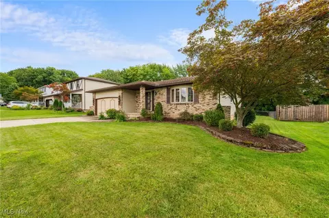 6015 Ely Vista Dr, Parma, OH 44129 photo 3