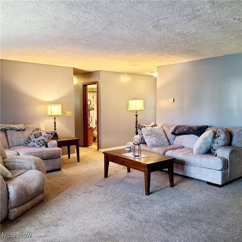 5947 Dailey Rd, Akron, OH 44319 photo 14