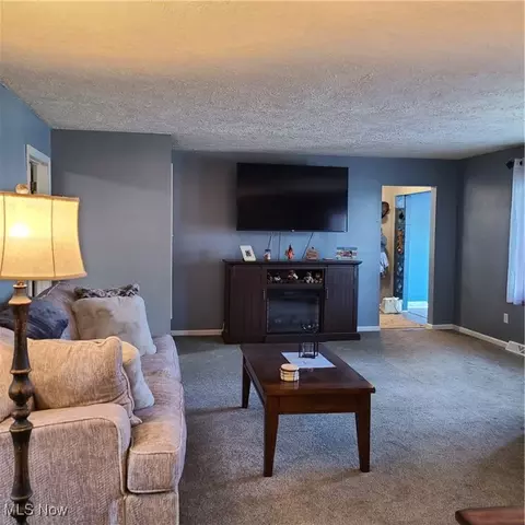 5947 Dailey Rd, Akron, OH 44319 photo 15