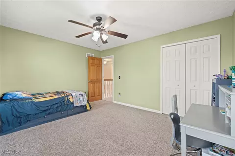 701 Longstreet, Lagrange, OH 44050 photo 38