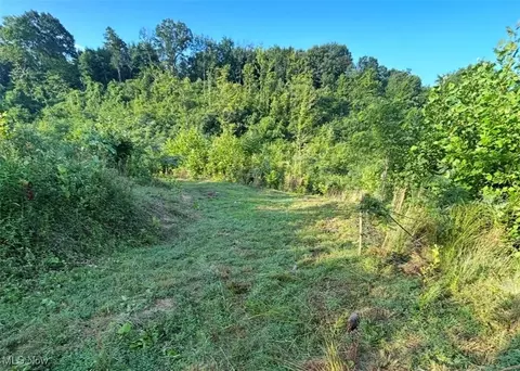 Bunce Rd, Gallipolis, OH 45631 photo 16