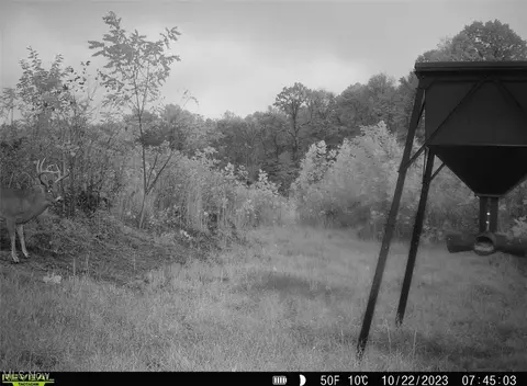 Bunce Rd, Gallipolis, OH 45631 photo 11