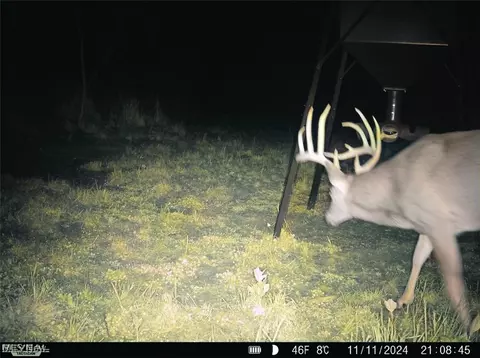 Bunce Rd, Gallipolis, OH 45631