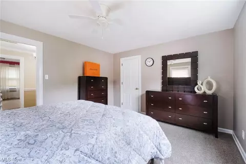 117 Overhill Rd, Youngstown, OH 44512 photo 31