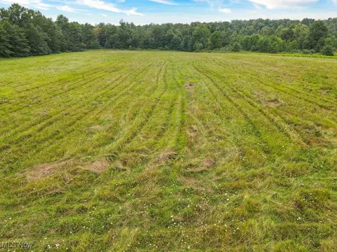 Vl Bryant Road, Windham, OH 44288 photo 8