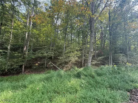 0 Buck Run Rd, Pennsboro, WV 26415