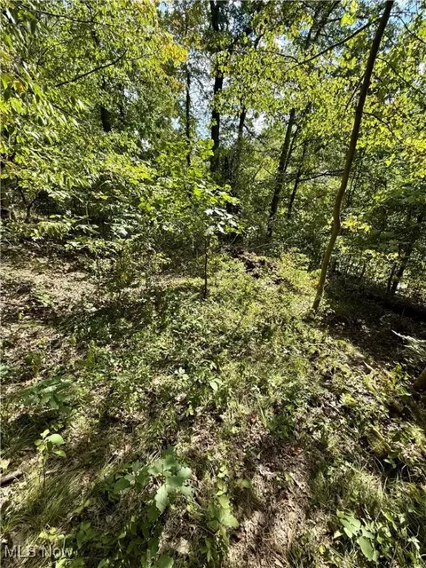 Poker Road Se, Scio, OH 43988