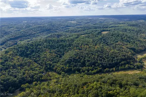 868 Township Road 278, Bergholz, OH 43908