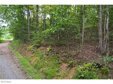 Fansler Lane Sw, Newcomerstown, OH 43832
