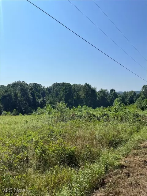 0 Timber Rd, Bergholz, OH 43908