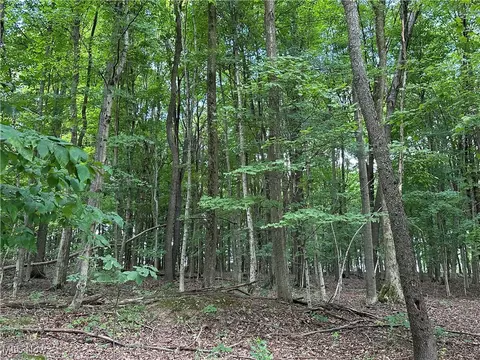 0 Township Road 2104, Loudonville, OH 44842