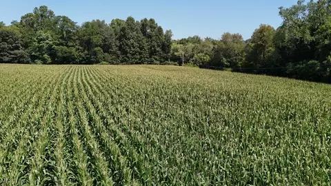 75 S River Rd, Malta, OH 43758 photo 9