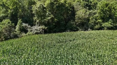 75 S River Rd, Malta, OH 43758 photo 11