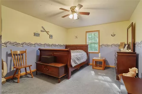 113 Walnut St, Scio, OH 43988 photo 28