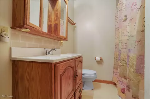 113 Walnut St, Scio, OH 43988 photo 23