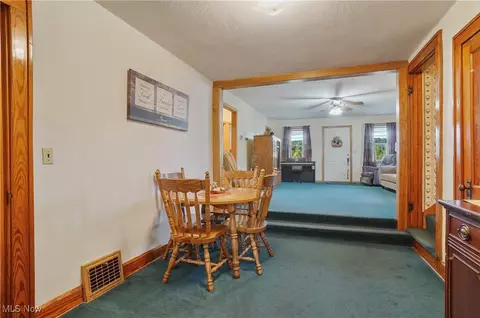 113 Walnut St, Scio, OH 43988 photo 20