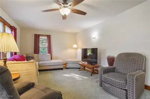 113 Walnut St, Scio, OH 43988 photo 15
