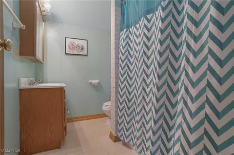 113 Walnut St, Scio, OH 43988 photo 38