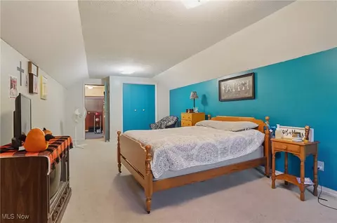 113 Walnut St, Scio, OH 43988 photo 41