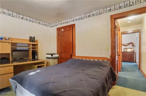 113 Walnut St, Scio, OH 43988 photo 30