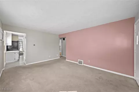 244 Olive St, Elyria, OH 44035 photo 4