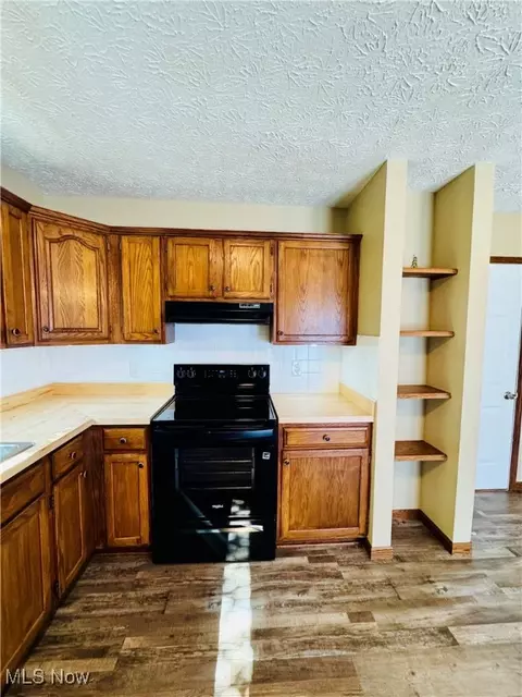 441 Morgan Ct, Lagrange, OH 44050 photo 5