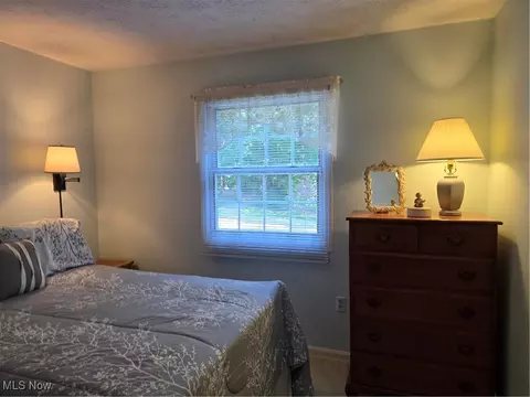 4631 Diane Dr, Ashtabula, OH 44004 photo 28