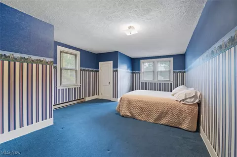 4611 S Ridge Rd E, Geneva, OH 44041 photo 19