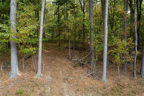 6113 Middle Run Rd NW, Dover, OH 44622 photo 4