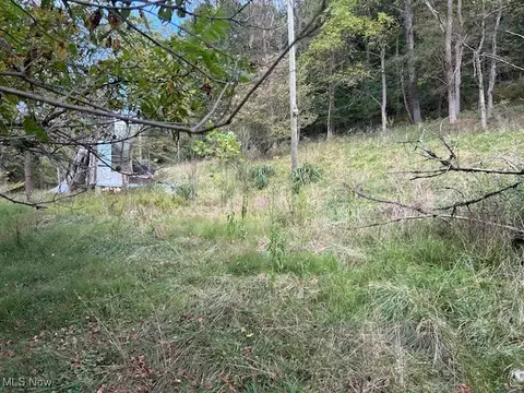1990 Meathouse Fork Rd, Ravenswood, WV 26164