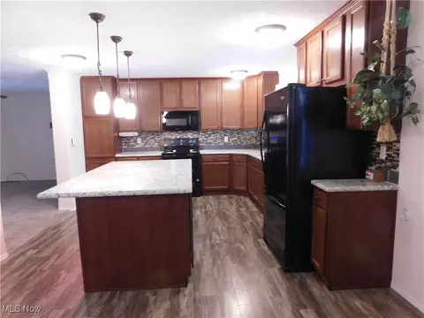411 Pin Oak Cir, Elyria, OH 44035 photo 16