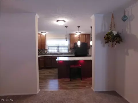 411 Pin Oak Cir, Elyria, OH 44035 photo 23