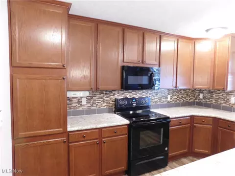 411 Pin Oak Cir, Elyria, OH 44035 photo 8