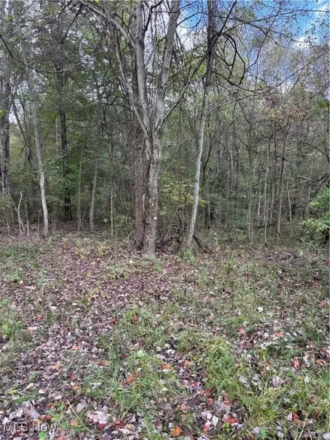 9730 Steubenville Pike, Lisbon, OH 44432