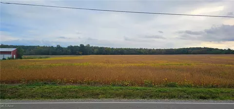 6128 Spieth Rd, Medina, OH 44256