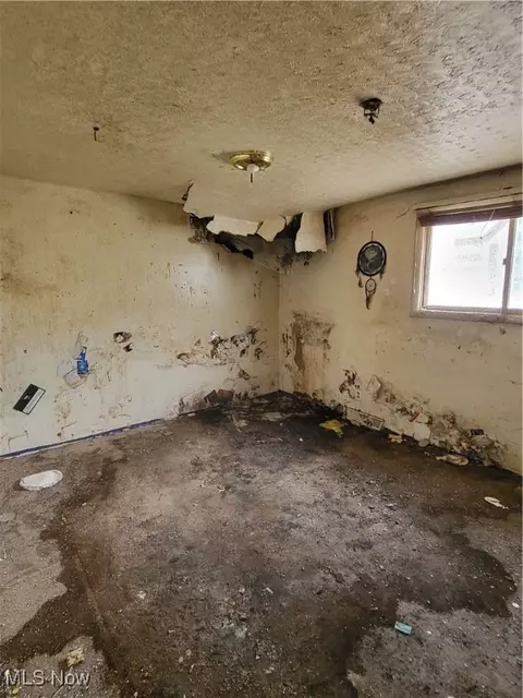 Other - 43650 Lafferty Rd, Flushing, OH 43977 photo 5 of 11