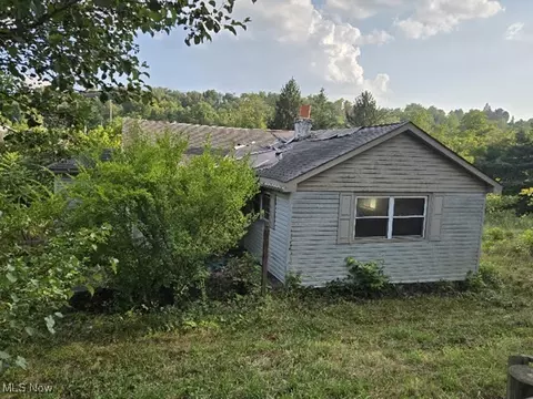 Other - 43650 Lafferty Rd, Flushing, OH 43977 photo 1 of 11