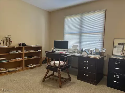 137 Forest View Ct, Creston, OH 44217 photo 11