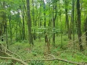 Kerns Drive, Bolivar, OH 44621