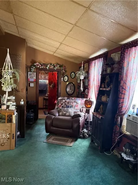 120 Mound St, Elyria, OH 44035 photo 5