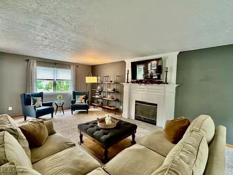 411 Treeview Dr, Wadsworth, OH 44281 photo 5