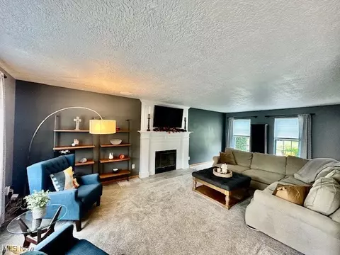 411 Treeview Dr, Wadsworth, OH 44281 photo 6