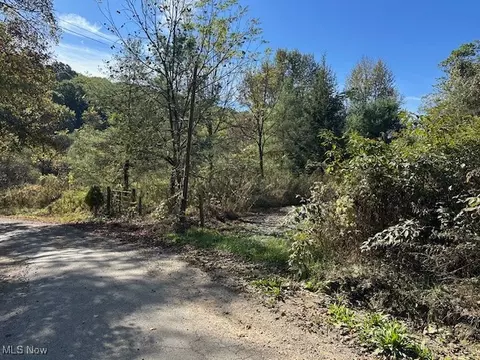 3688 Indian Camp Run Rd, Cambridge, OH 43749