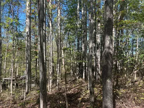 Masada Lane, Freeport, OH 43973