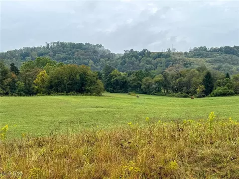County Rd 11, Dillonvale, OH 43917