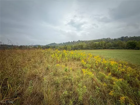 County Rd 11, Dillonvale, OH 43917 photo 10