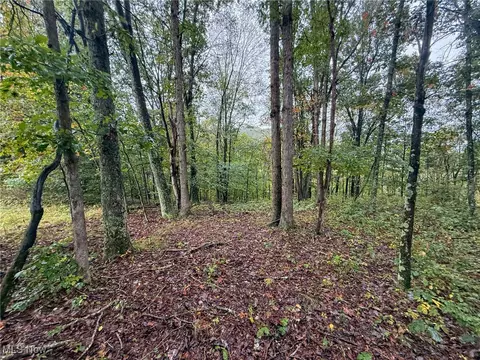 County Rd 11, Smithfield, OH 43917 photo 7