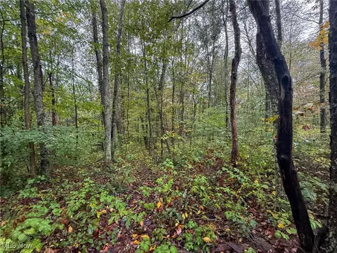 County Rd 11, Smithfield, OH 43917 photo 6