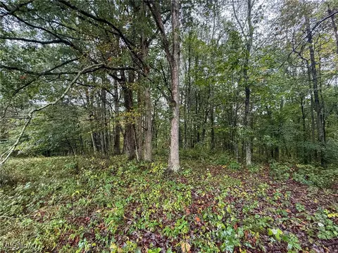 County Rd 11, Smithfield, OH 43917 photo 5