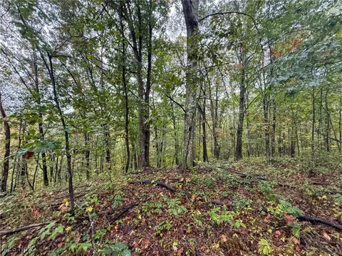 County Rd 11, Smithfield, OH 43917 photo 8